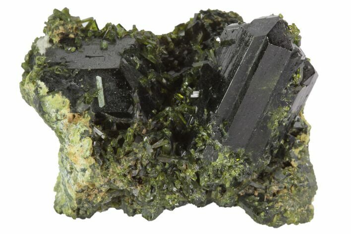 Lustrous Epidote Crystal Cluster on Actinolite - Pakistan #91946